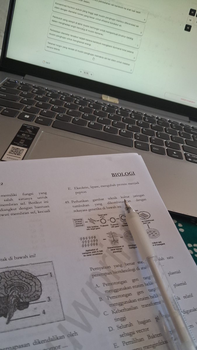 Lomang²⁶ otw gamada utul tweet media