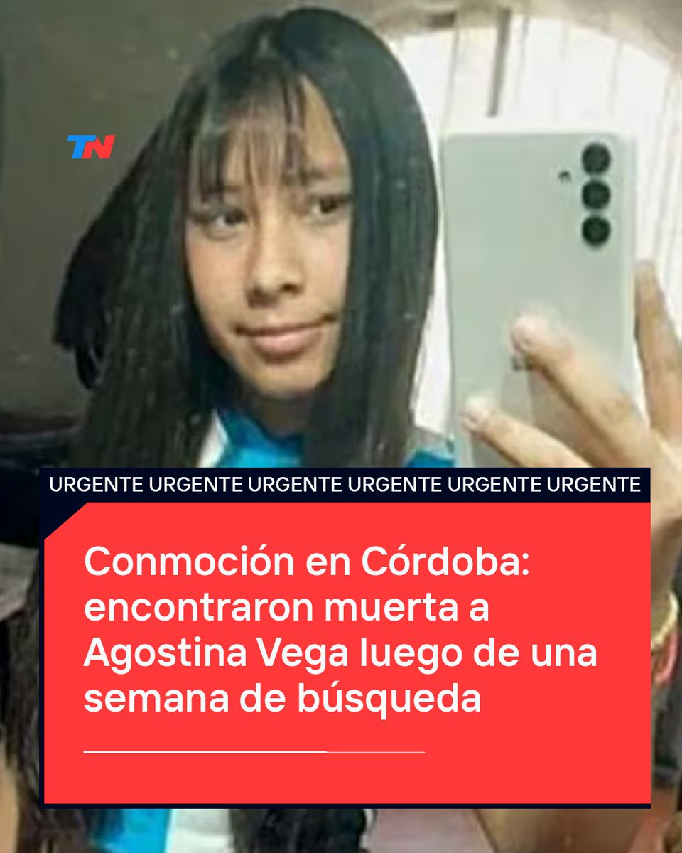 TN - Todo Noticias tweet media