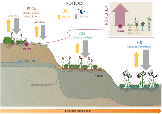CommsEarth's tweet photo. Light and dark conditions control the nitrous oxide uptake and emission dynamics in a subarctic, nutrient-poor permafrost peatland https://t.co/DSHpQNFcwC https://t.co/cW4FzwNQ5M