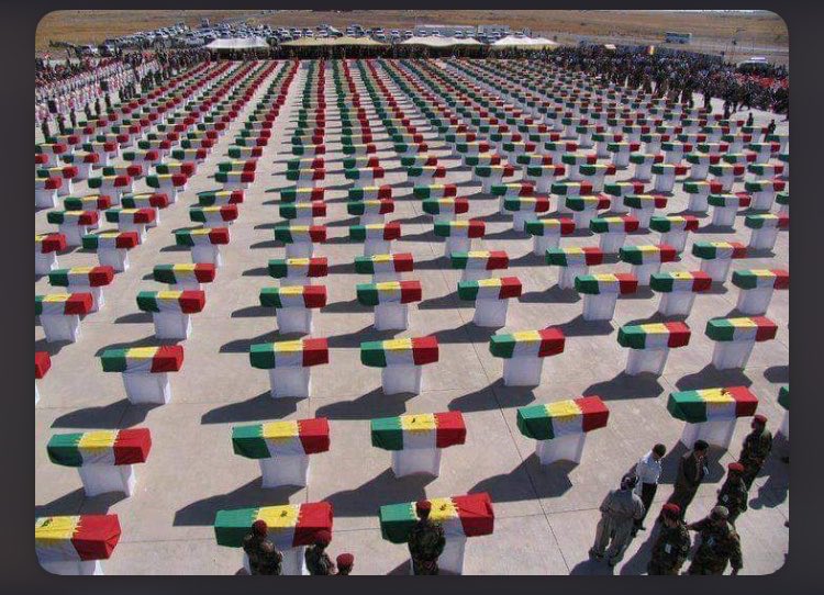 🇩🇪Sultan bin Aliسلطان 🇸🇾 tweet media