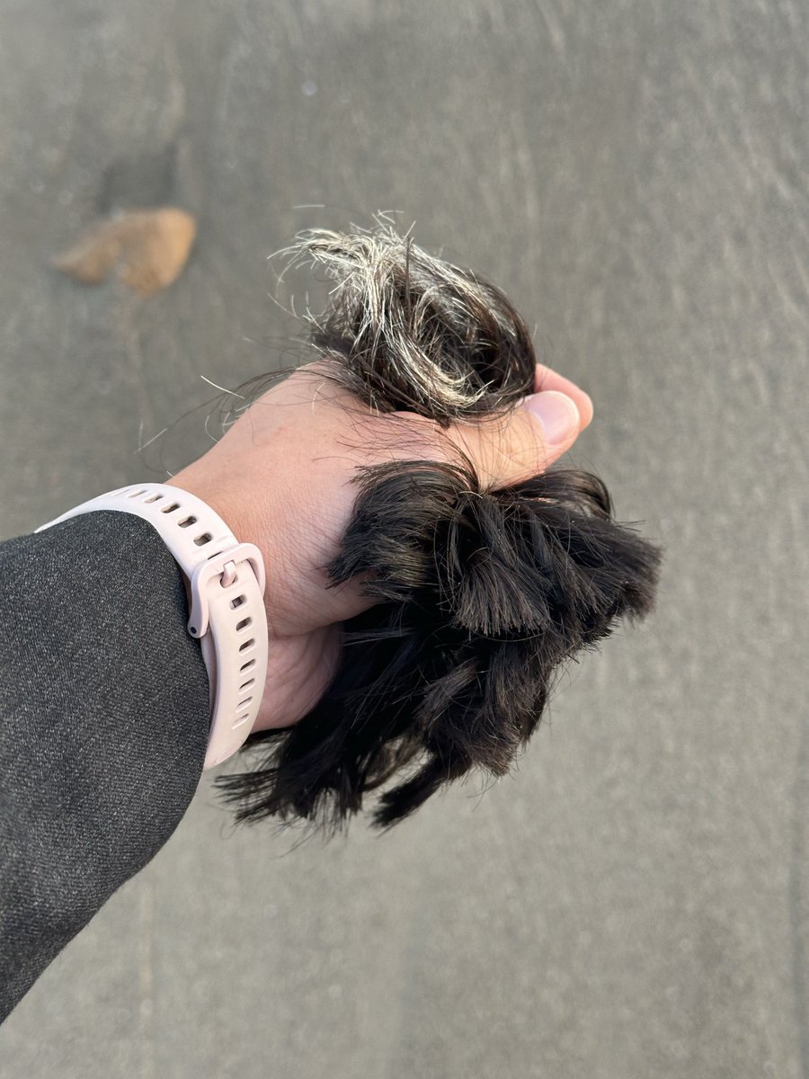 raybaboon's tweet photo. ✂️✂️✂️ A lot can change in a year https://t.co/oHb8YNP2dj