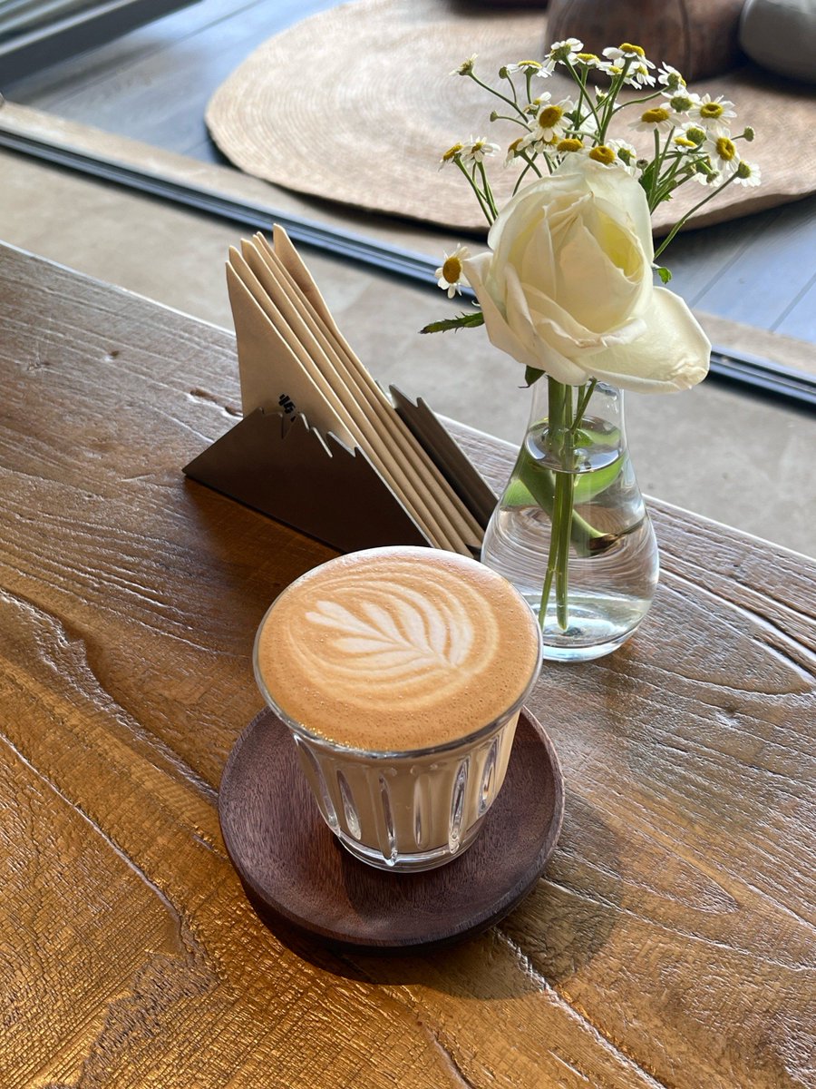fkktgj's tweet photo. Road trip update: Stopped at a tiny coffee shop with mountain views, grabbed a latte and a cookie—10/10 vibe, perfect pit stop for this adventure! https://t.co/WQGXT8MHF5