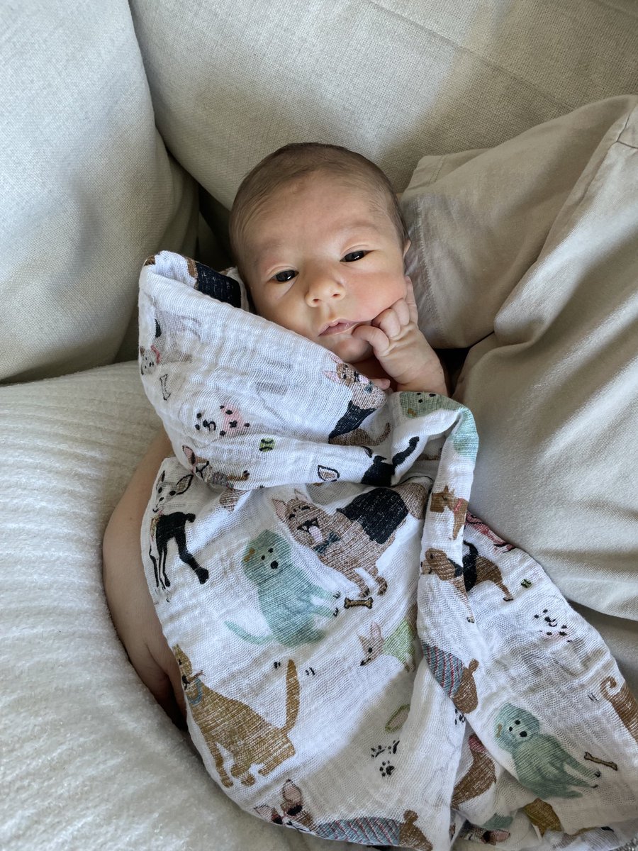 0xSDR's tweet photo. Happy Saturday everyone ❤️

$SOREN is sending the biggest thank you to all of you for the love, support, and effort you’ve been putting in this weekend.

Mercedes and I see it. We feel it. And we are beyond grateful.

Thank you for continuing to show up for our little boy. 🪽 https://t.co/U4GiOZ4Fqb