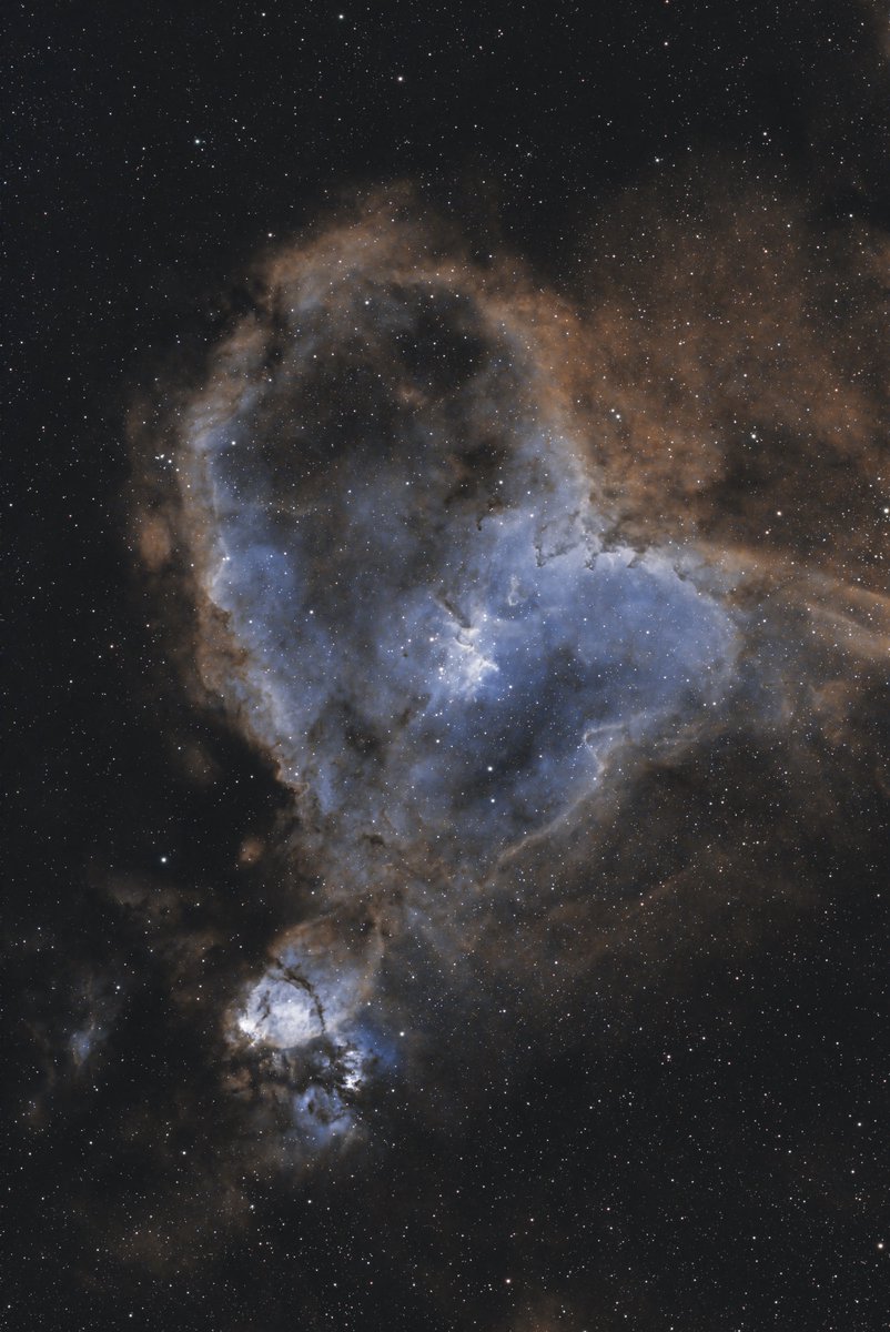 SpaceScience_'s tweet photo. La magnifique nébuleuse du cœur ❤️

Deux petites heures de pose https://t.co/noqfo3R2nV