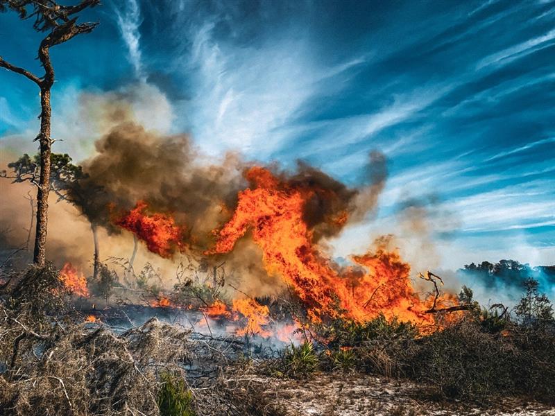 ManateeGov's tweet photo. May is Wildfire Awareness Month, and Manatee County Natural Resources uses prescribed burns as an important tool to help reduce the risk of dangerous wildfires throughout our area. 🔥🌿

Prescribed burns safely remove built-up vegetation that can fuel intense wildfires, helping protect homes, neighborhoods, parks and natural areas. These carefully planned burns also improve habitat health by returning nutrients to the soil, encouraging new plant growth and supporting Florida’s native wildlife and ecosystems. By reducing excess fuel and maintaining healthy landscapes, prescribed burning helps create safer, more resilient communities for both people and wildlife.