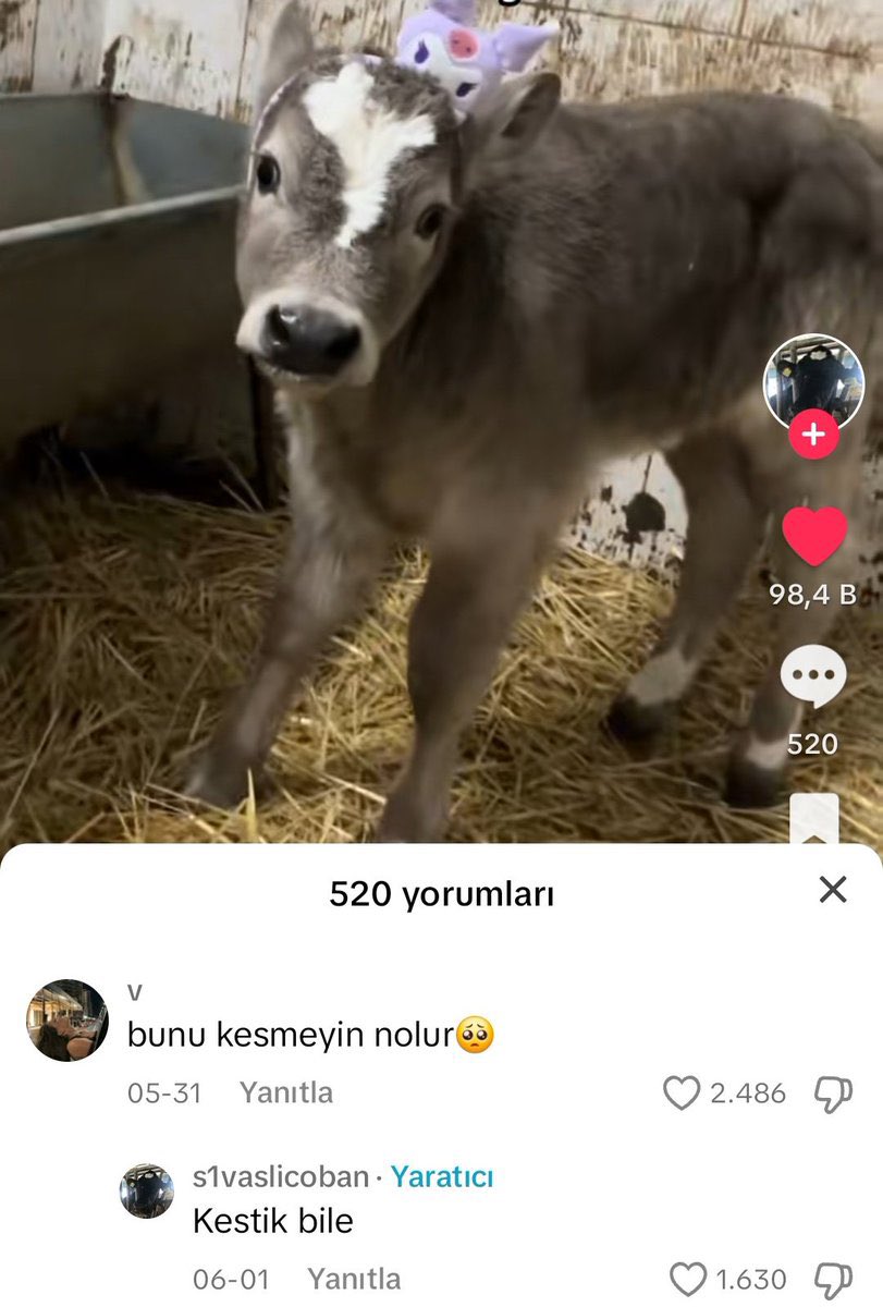 bilalumt's tweet photo. @rwetis benim hayvanlik amk https://t.co/bNpE8hKFVF