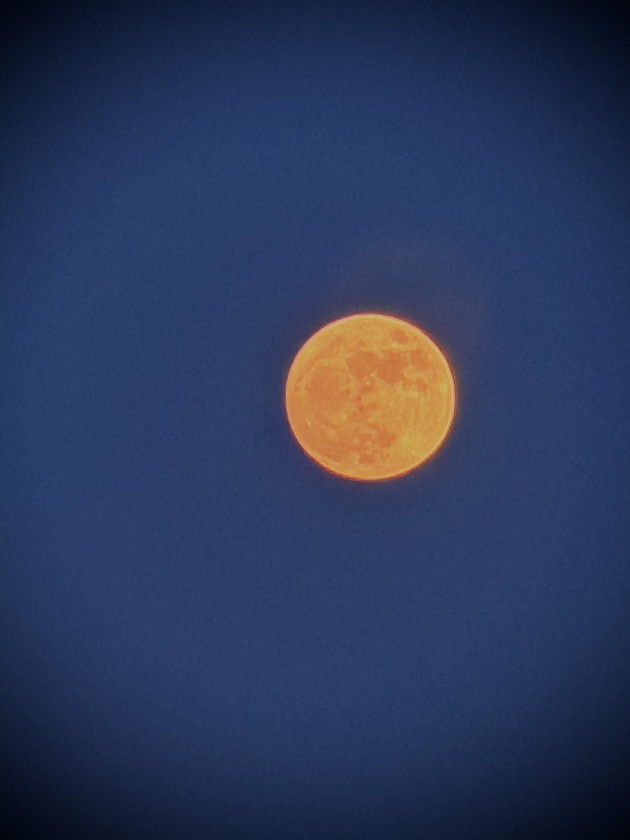 _sam_sa_ra's tweet photo. “Give me my wings”
- 10,000 days
📸 #moon #30thMay https://t.co/v1n8YRGK4n