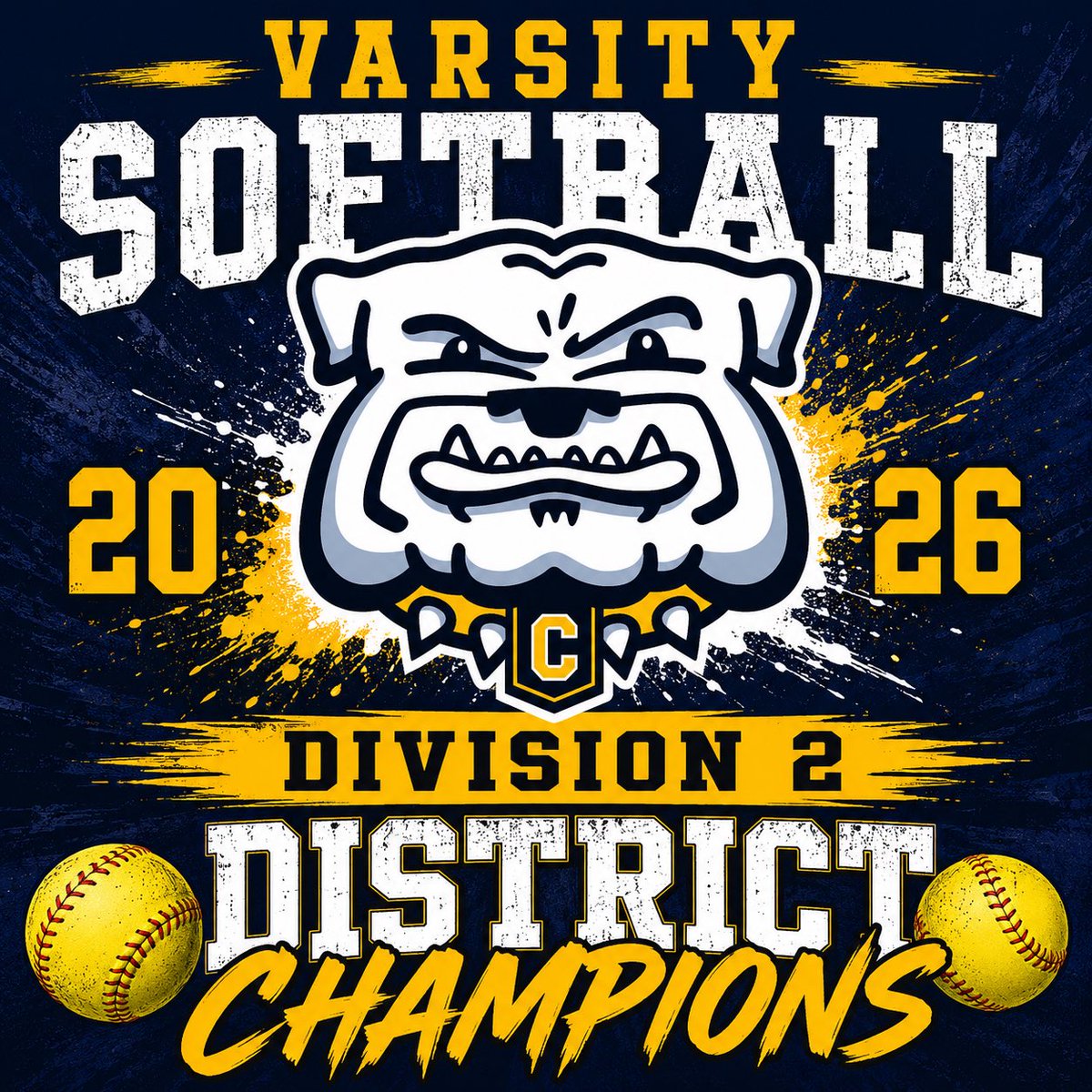 ChelseaBulldogs's tweet photo. District Champs!! @dawg_softball https://t.co/U2ZE6mYOng