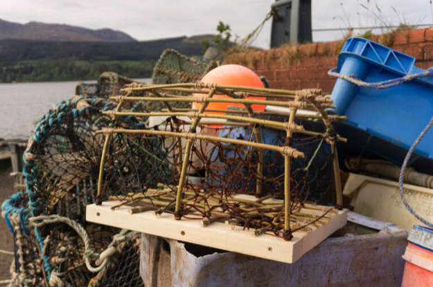 johnthackara's tweet photo. Brùchd - Regenerative Seaweed Systems, by Conor Quinn at Glasgow School of Art. Check out the great video, too https://t.co/jRonpRT4wZ https://t.co/4puK8gxoVv