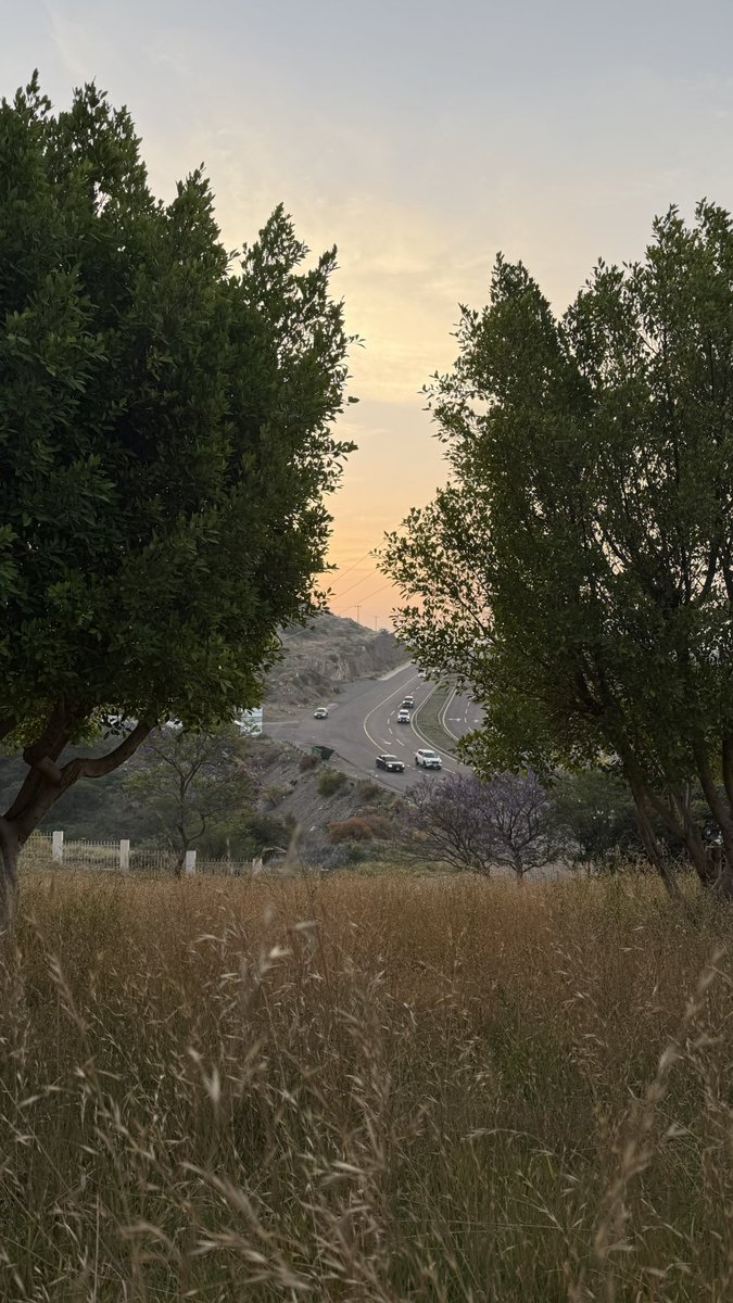 _joalsu's tweet photo. مشهد بديع 🌾🧡 https://t.co/STLUocKOAn