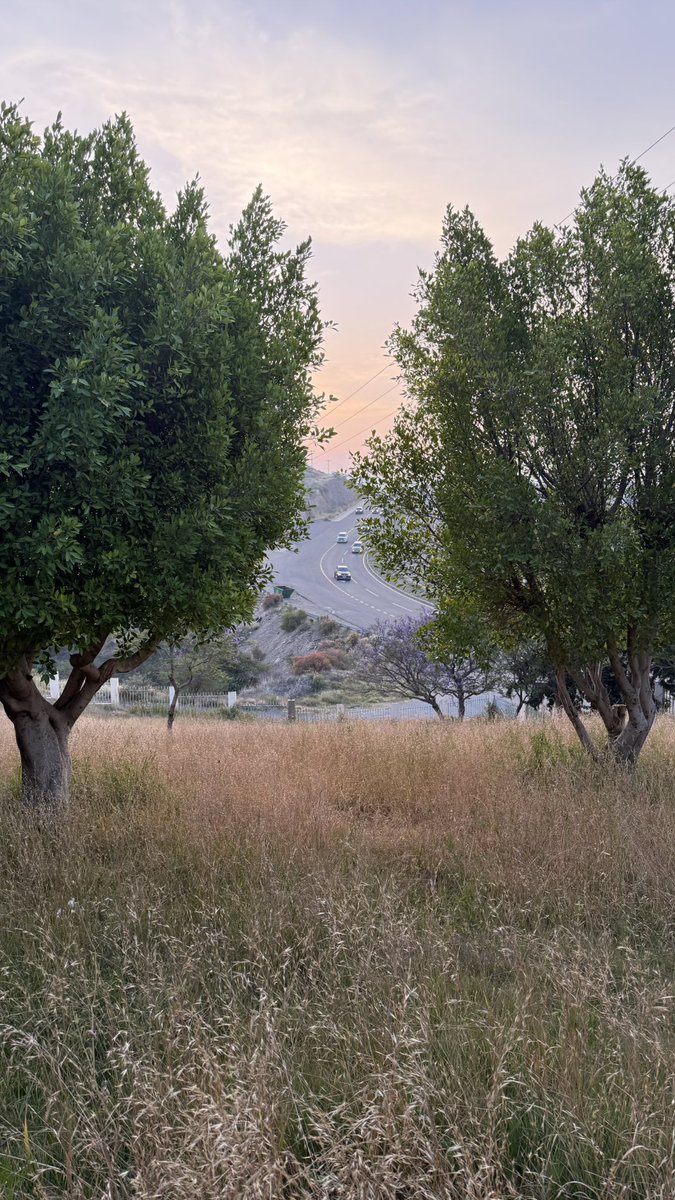 _joalsu's tweet photo. مشهد بديع 🌾🧡 https://t.co/STLUocKOAn