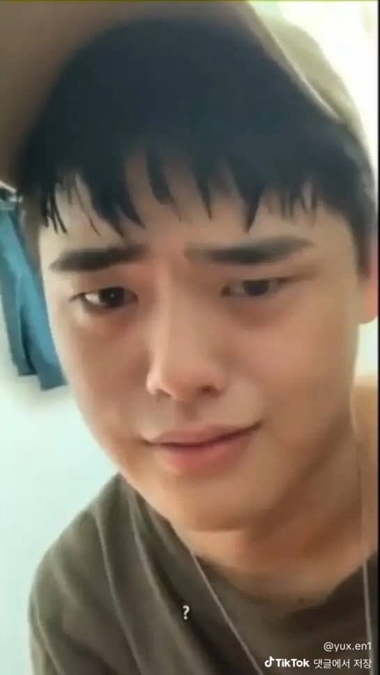 부이 tweet media