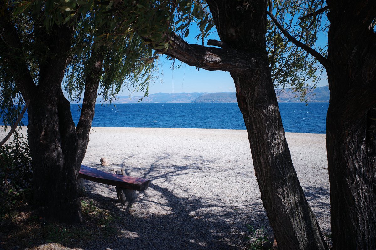 cyanbookmark's tweet photo. Xingyun Lake and Fuxian Lake: Azure waters and refreshing lake breezes.

#yunnan #Photography #landsacpe #摄影 #写真 #云南 https://t.co/CQsXEDe1aJ