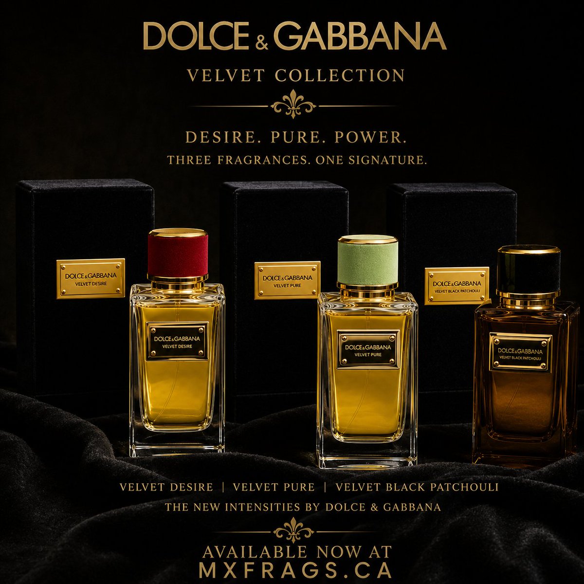 mxfrags's tweet photo. 🚨𝐍𝐎𝐖 𝐀𝐕𝐀𝐈𝐋𝐀𝐁𝐋𝐄🚨

https://t.co/owgOekXYPM

#MaximumFragrance #perfumescents #bestluxury #fragrances #perfumes https://t.co/gSN2M34OQP
