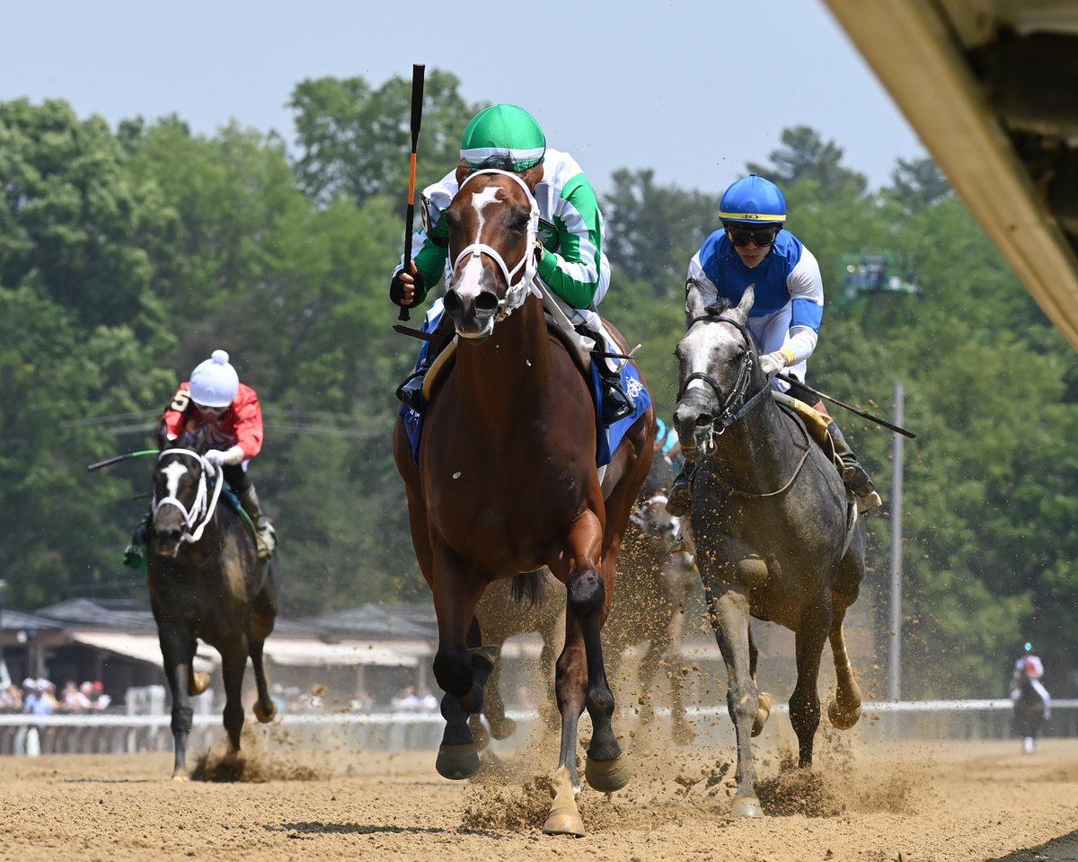 florida_horse's tweet photo. #FloridaBred Mythical Looms Large in Jersey Girl Stakes  at Saratoga @TheNYRA @RacingDelgado @zayas_edgardo https://t.co/yuq6Gux3HS https://t.co/HoHm2p6epe