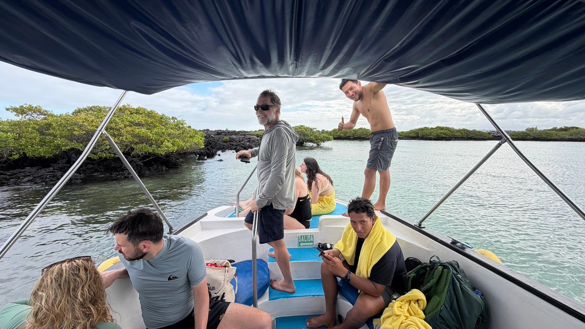 CamiAdventures's tweet photo. 🌊🤿 Snorkel the crystal-clear waters of Tintoreras Islet with CamiAdventures! 🦭🐢

Swim alongside  sea turtles, marine iguanas, colorful fish, and the famous white-tip reef sharks in the heart of the Galápagos.
#CamiAdventures #Tintoreras #Galapagos #Snorkeling 🦈🌴🌊🐢 https://t.co/fkjLuDGzfr