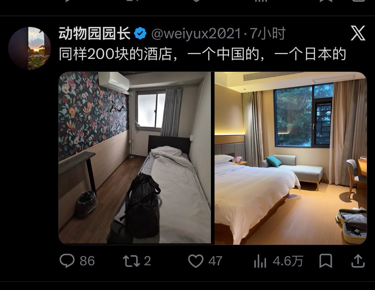 动物园园长 tweet media