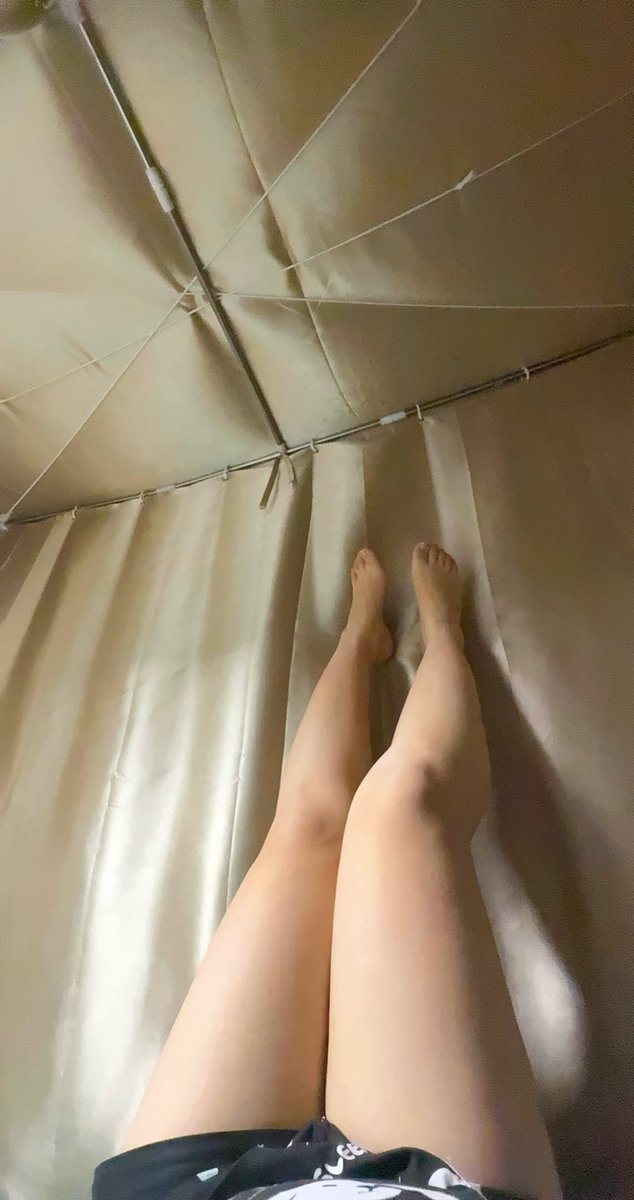 忧郁面包 tweet media