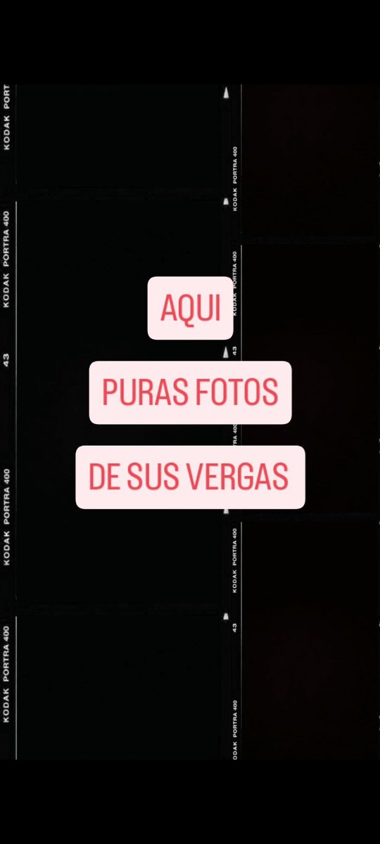Alejandro tweet media