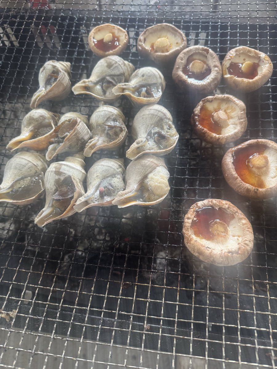 BOSS696969611's tweet photo. おわりごろのBBQ https://t.co/OIjEcBGOmS