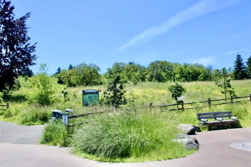 SandyPost's tweet photo. Be wary while out on hikes this summer. There has been an increase in tick sightings over the last decade, especially on Powell Butte. The bugs like to wait in tall grass near woods to latch onto dogs or humans.
Story: https://t.co/BNiptM5BhP https://t.co/XxydaryXiC