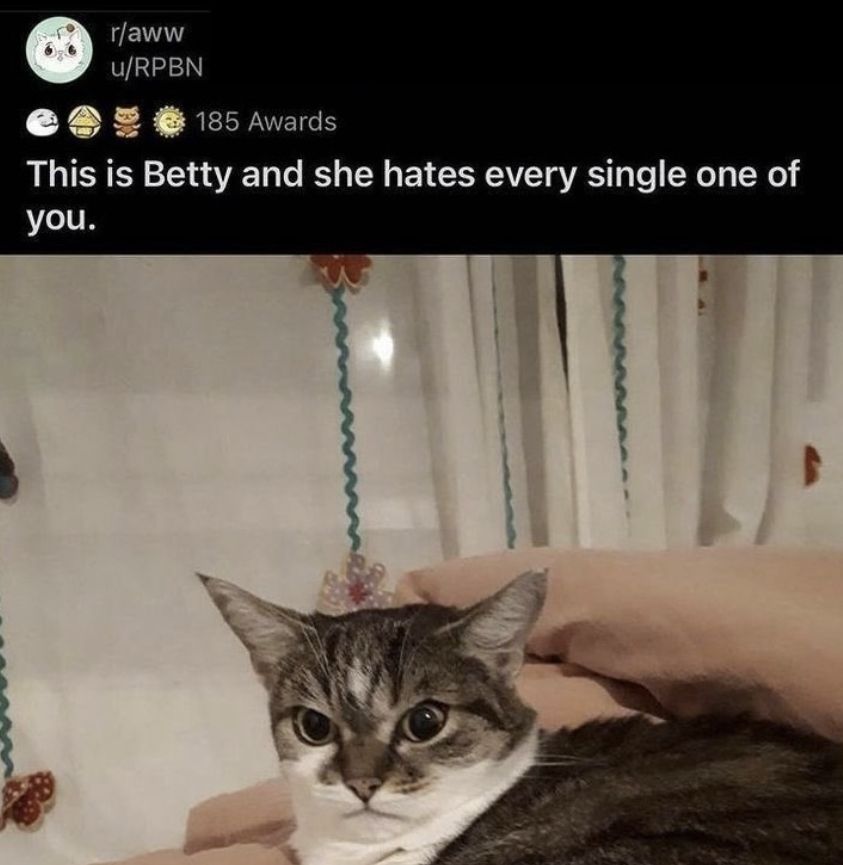 CatWorkers's tweet photo. Betty has worked retail. https://t.co/P7Eo38wE3a