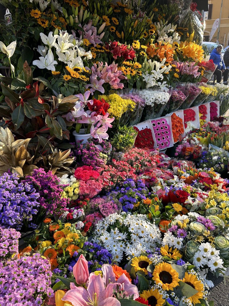 Beyzasari01's tweet photo. 💖💐🌷🌸🌼 https://t.co/qkIndDWBbz