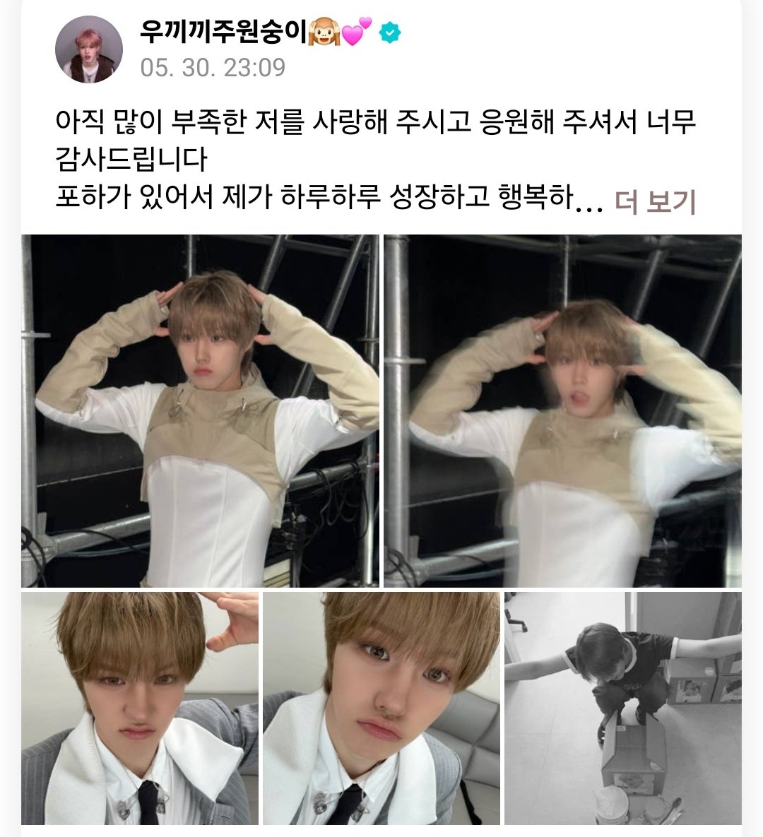 노딩 tweet media