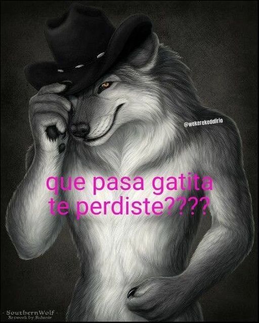 Geardo tweet media
