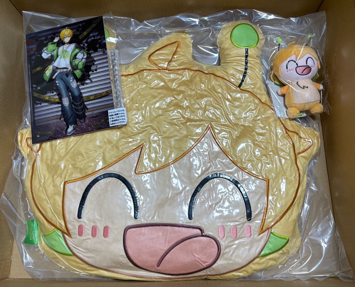 届いたー！? マスコットもクッションもかわいすぎるしアクパかっこよ 