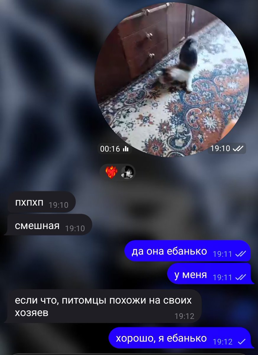 `ʍᥱʍуᥲρы ᥙᴛᥲ᧘ьян᧐чκᥙ;; tweet media