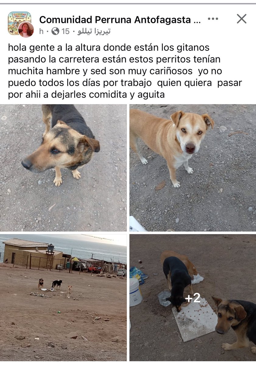 zig1758's tweet photo. 🚨🚨🚨🚨🚨🚨🚨🚨🚨🚨🚨🚨🚨#Antofagasta https://t.co/SouS7I8VOI