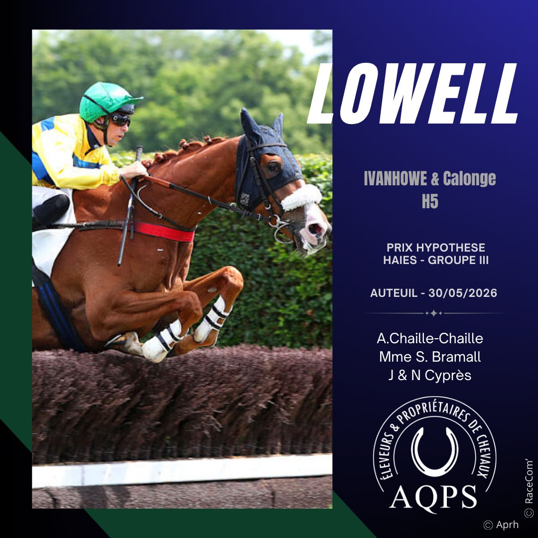TheFrenchChaser's tweet photo. 🏆2 victoires AQPS aujourd'hui à Auteuil avec notamment celle de LOWELL (Ivanohwe @HarasDeCercy ) dans le Prix Hypothèse - Gr3 !!

🏆Le frère de la bonne LA PALMERAIE, MEKNES (Castle du Berlais @harasdulion ) s'impose quant à lui pour son 2ème essai sur la Butte Mortemart ! https://t.co/nZK71gOypY