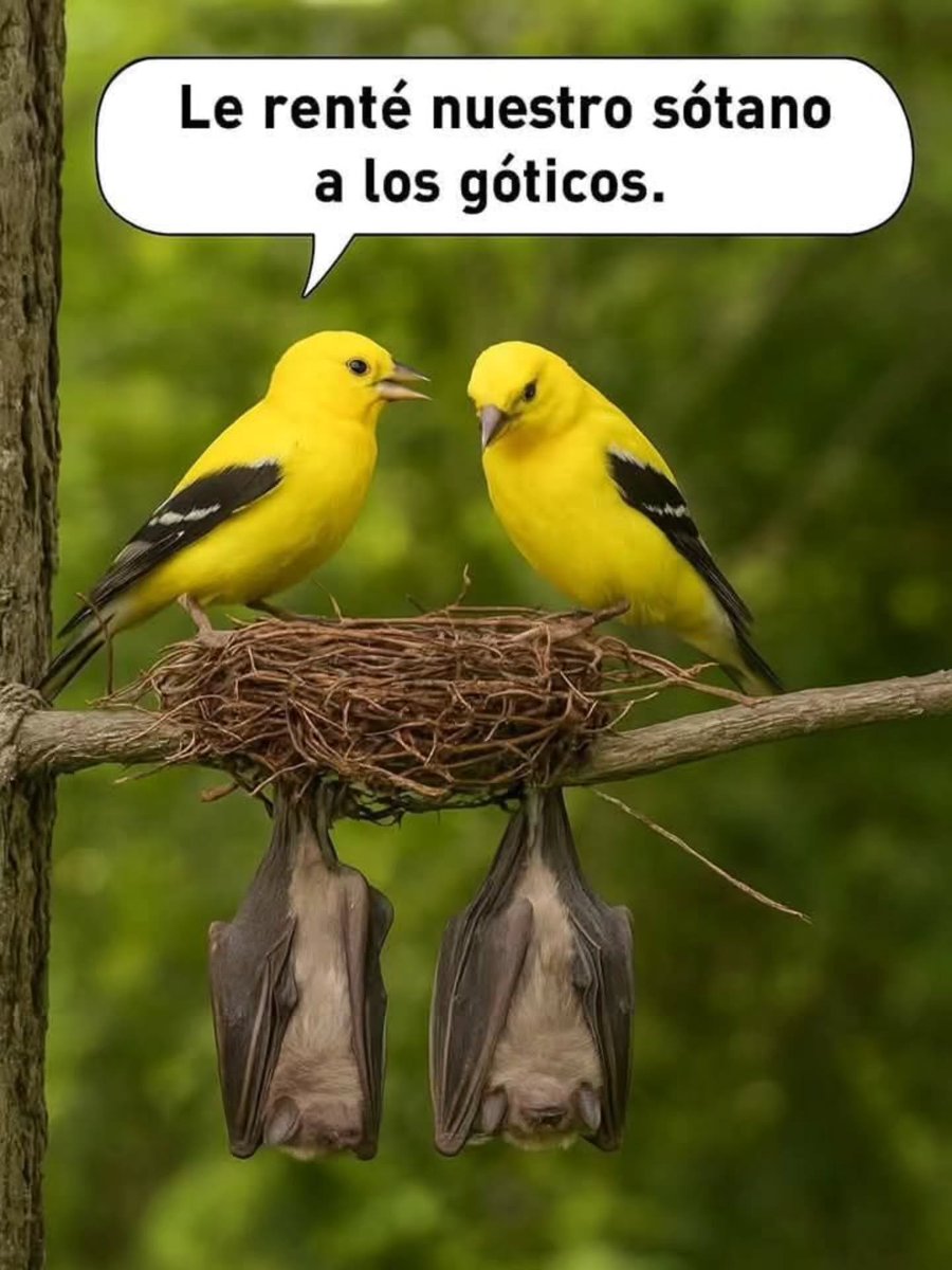 Enséñame de Ciencia tweet media