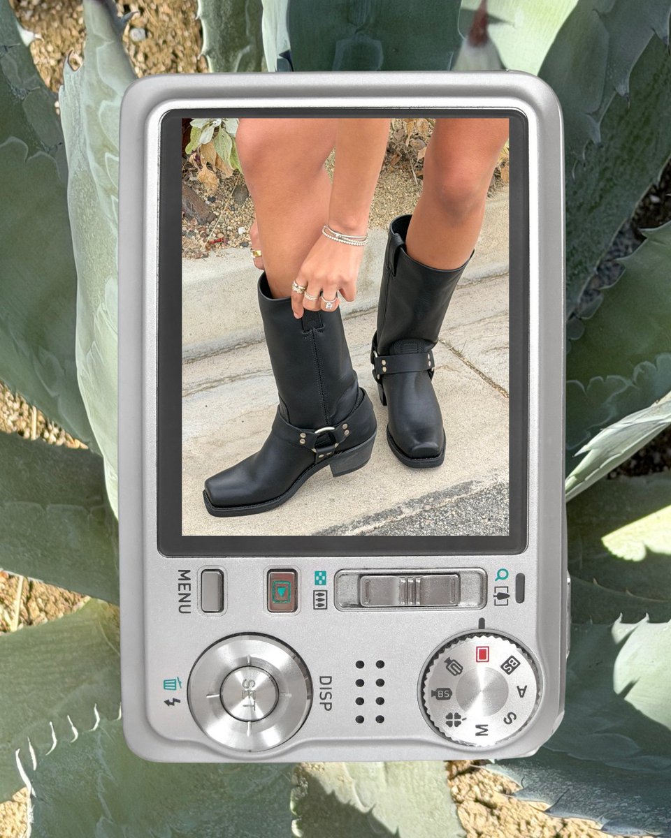 TheFryeCompany's tweet photo. caught on camera 📸 https://t.co/0AKwsgw41T