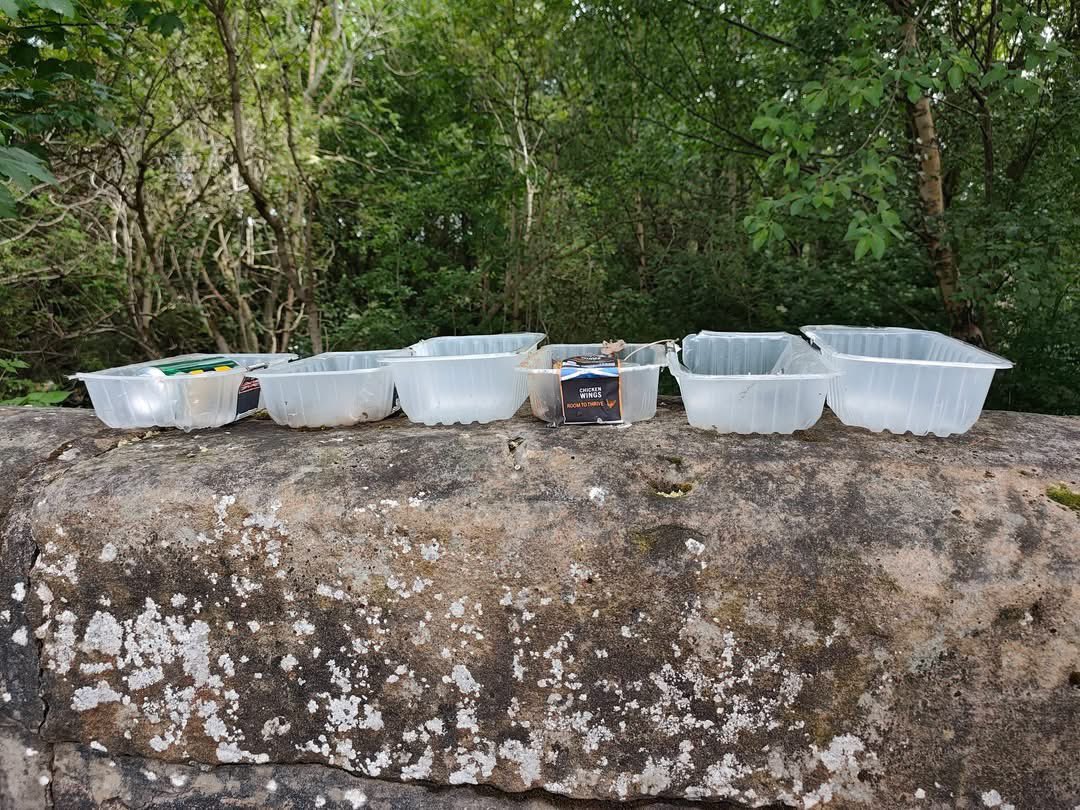 uddlitterpick's tweet photo. Stephen out on Saturday morning - Morning Plog

NCR75 cycle path, North British Road, Crofthead Street, Laighmuir Street and Lower Millgate.

Any ideas as to the identity of the serial chicken wing dumper? https://t.co/9BSwi0Kmek