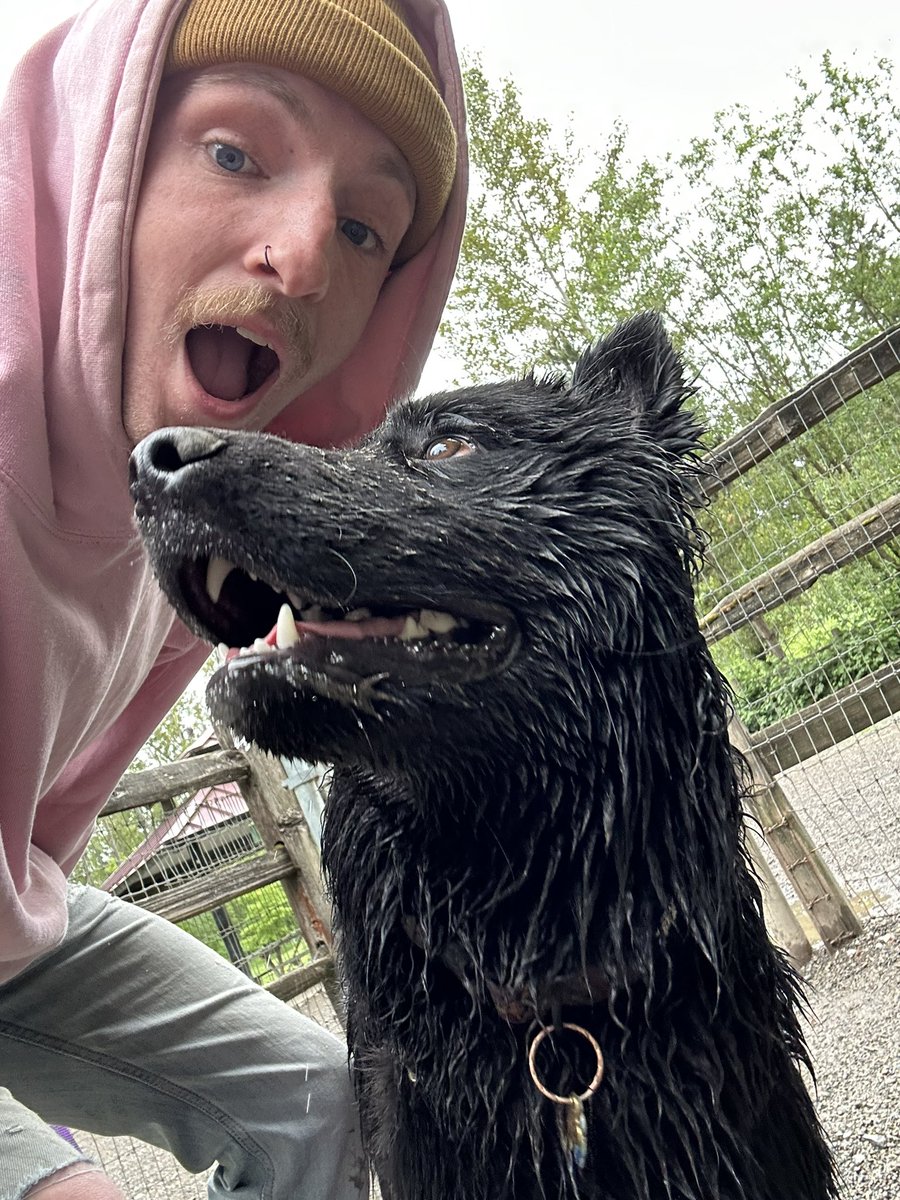 ryanobennett's tweet photo. My Dogs favorite song is play for him
(All acoustic bc dog ears)

Your Heart is a Muscle the Size if your Fist - Pat the Bunny

Came Out Swinging - The Wonder Years

Muddy - Spookidude (oh hey 👋)

The Weekend; Fine, Great - MoBo https://t.co/QRHb8bFaZa