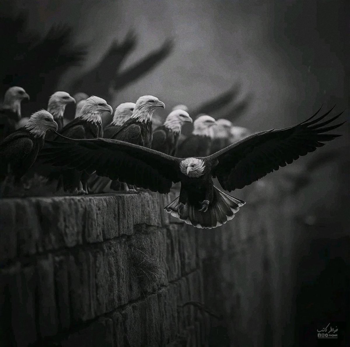 awjaek's tweet photo. ◾الإبتعاد عن المشاكل لايعني الضعف، 
     بل يعني أنك أكثر قدرة على الإستمتاع بحياتك .!! https://t.co/yO2MLz1MHf