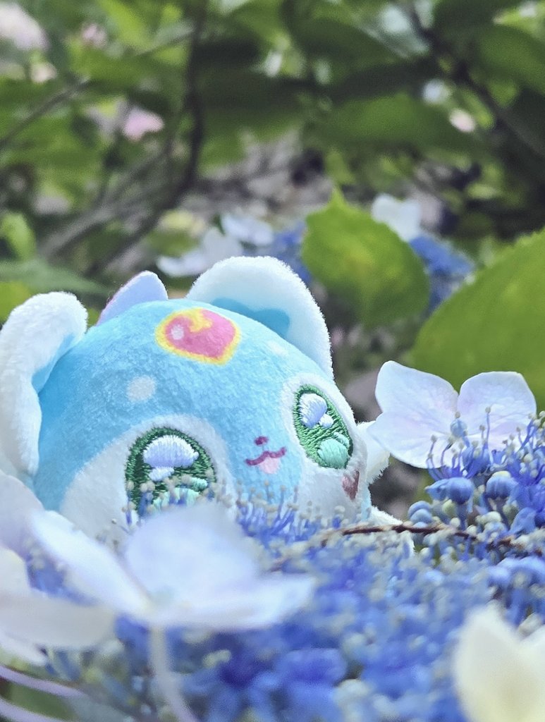 neyuichigo's tweet photo. 𝑺𝒐 𝒄𝒖𝒕𝒆... https://t.co/g3TY5lMAcZ