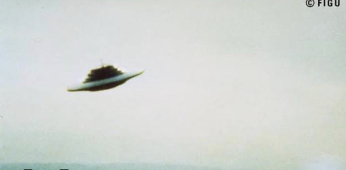 nowethtruth's tweet photo. @Renate_FE @Akam1129 There already out there and Billy Meyers who didn’t want any gain out of his evidence was one to show us these images. The President of Switzerland was also aware of what was going on with this subject in the 70s as he was visited by the same people who visited Billy meyers. https://t.co/AtjqheznwI