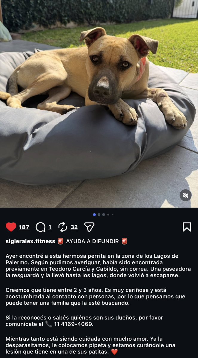 🧸 ✮ Agustina. ✮ 🚜🇦🇷 tweet media