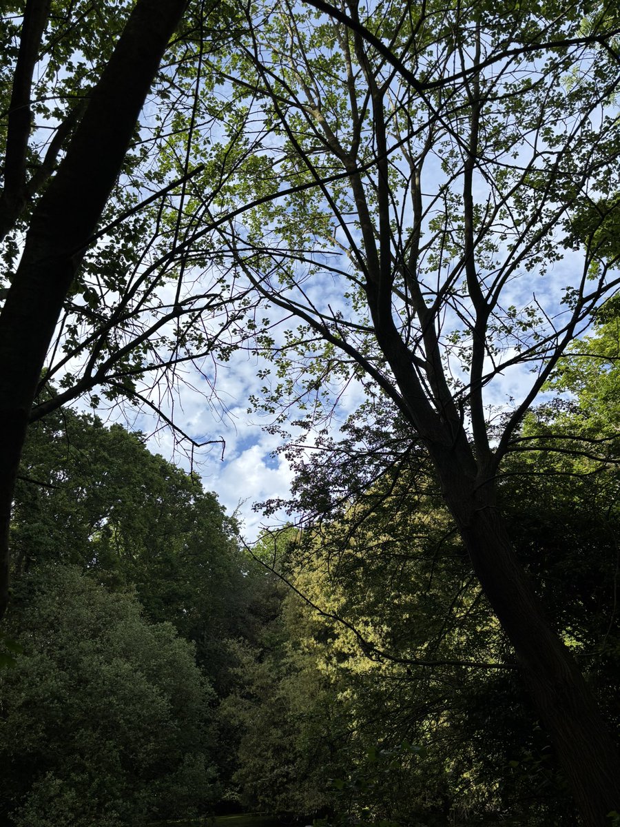 emsmascaratears's tweet photo. asha’s teasing come down so we’re reconnecting with nature https://t.co/AvgD4IQ0FZ