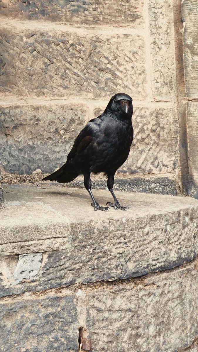 𝔞𝔪𝔞𝔯𝔶 tweet media