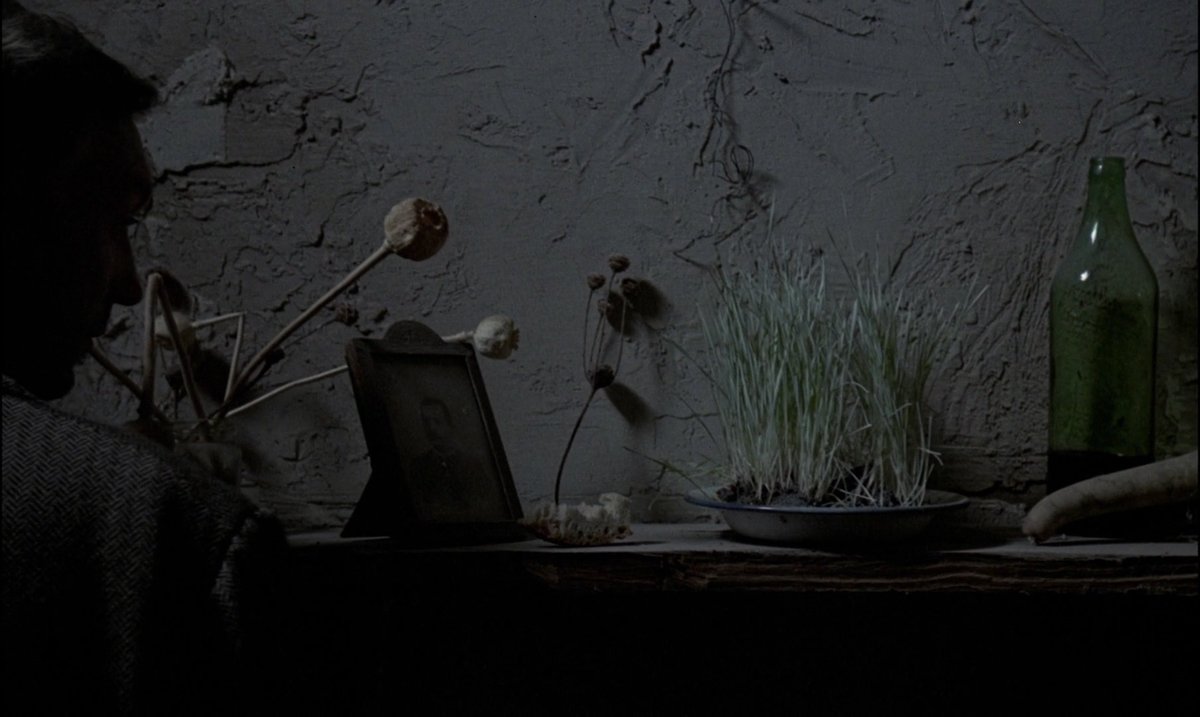 lunarscp's tweet photo. Visual poem.

Andrei Tarkovsky's 'Nostalghia' (1983).
Cinematography by Giuseppe Lanci. https://t.co/z8fKTGhS6M