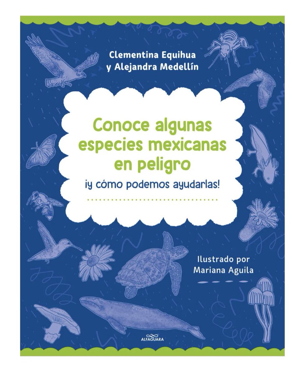 dalcarreno's tweet photo. Muchas gracias @tvunam por el espacio para hablar del libro “Conoce algunas especies mexicanas en peligro ¡y cómo podemos ayudarlas!” de @Clemenflays y Ale Medellín.
Esta obra está disponible en @penguinlibrosmx 📚 https://t.co/ojkrzEEnH9