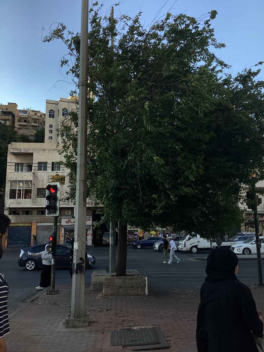 vollunm's tweet photo. i have a completely random soft spot for amman https://t.co/XScAAgsVkg