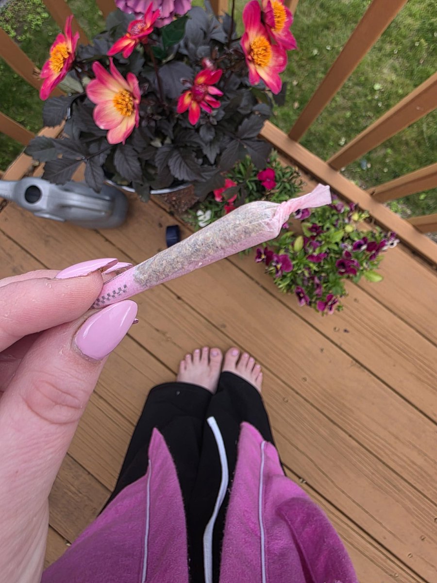 Sim1carter's tweet photo. Good vibes in the garden https://t.co/AhcWm5Vqmm