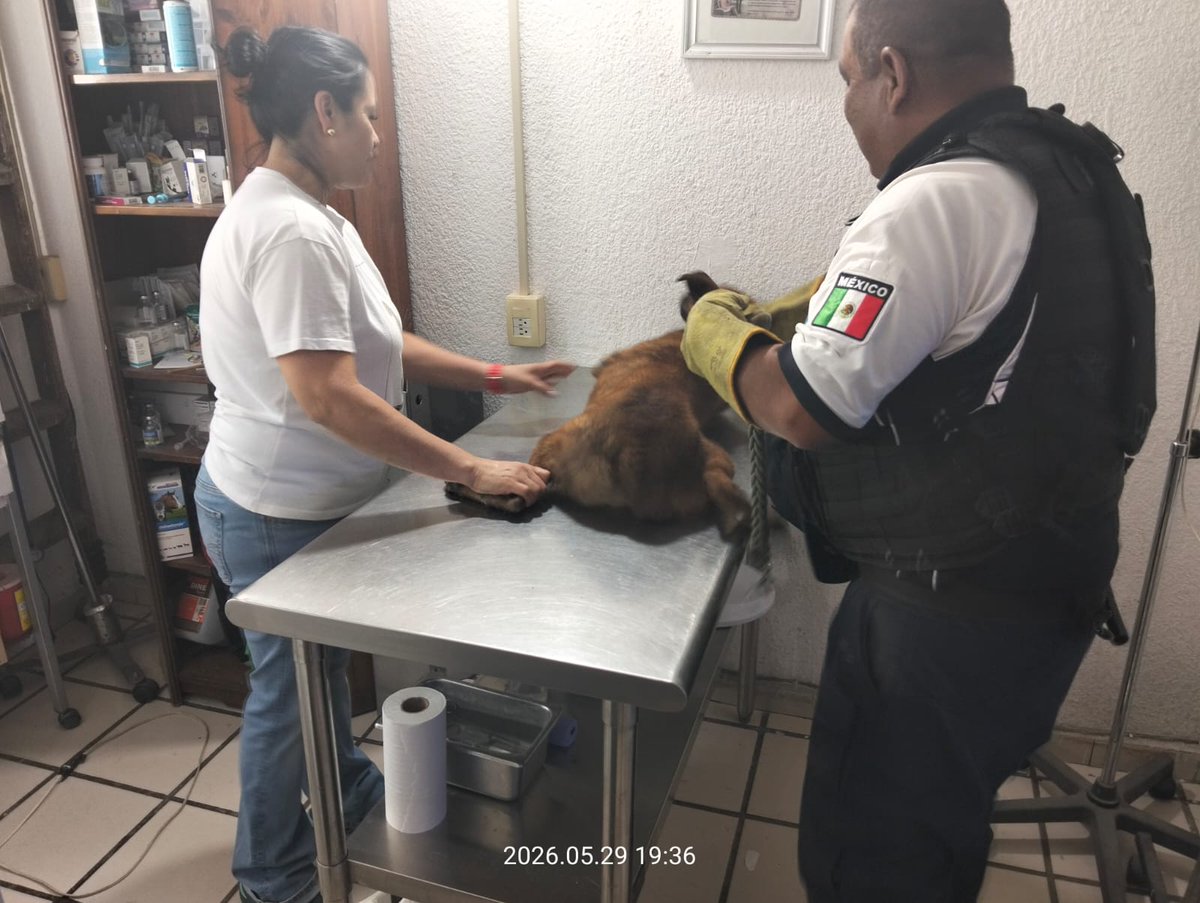 Secretaría de Seguridad y Protección Ciudadana SLP tweet media