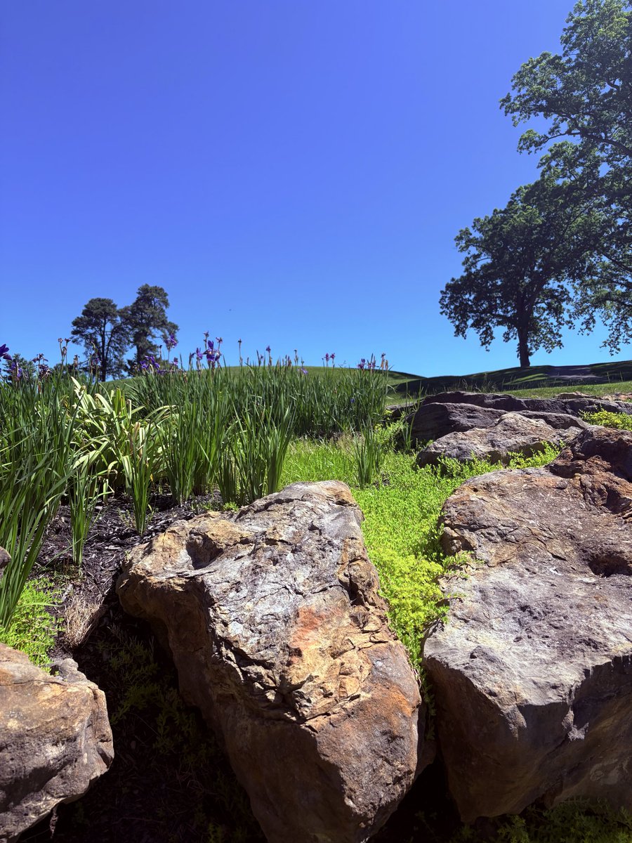 pstofko's tweet photo. Beautiful day at #MHCC. #Photography https://t.co/1hxUlLiuPA