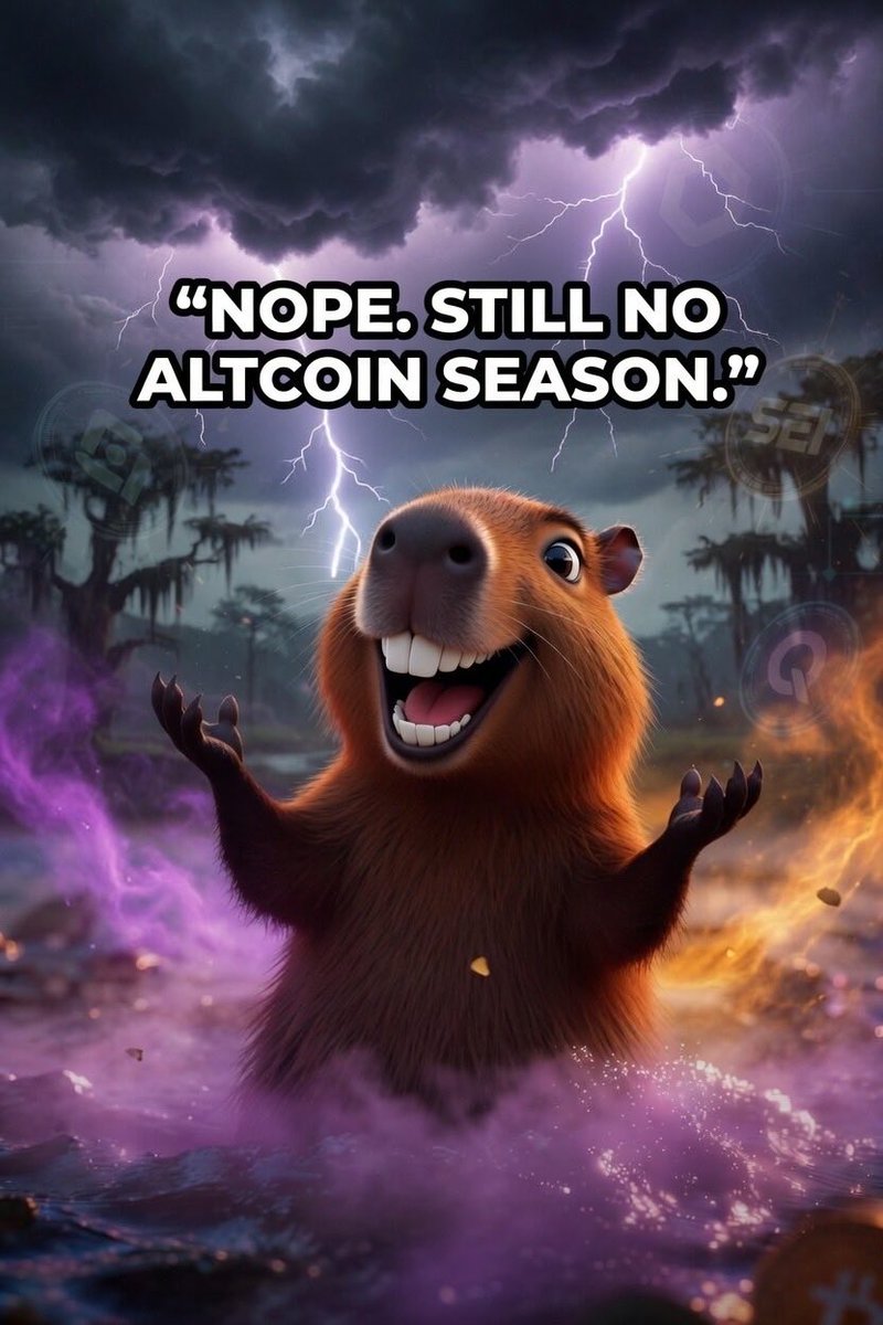 CappyGrowth ₿ tweet media